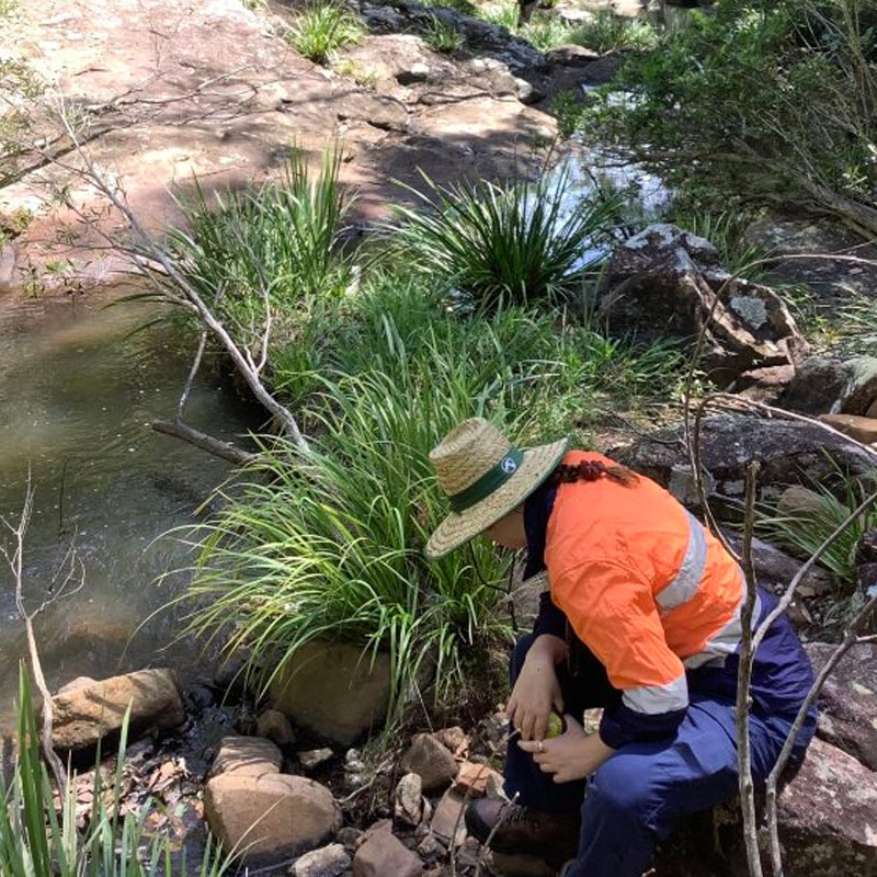 Aboriginal Heritage and Impact Assessment