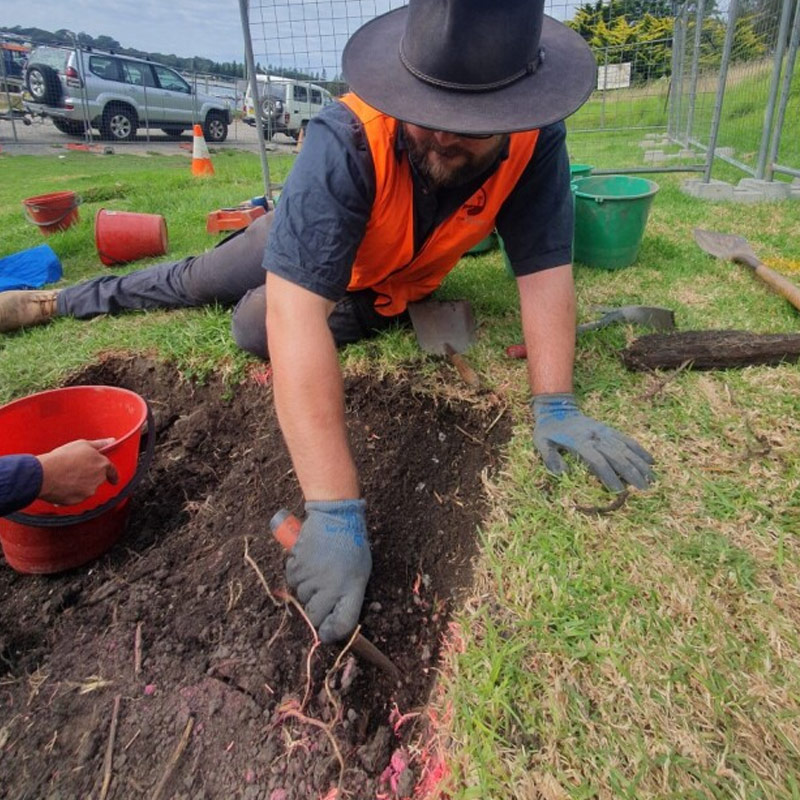 Excavation Testing and Salvage