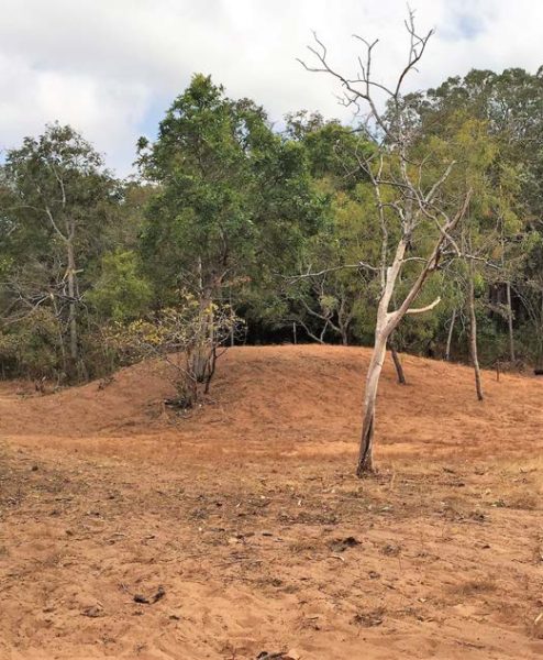 Burial Mound at Shadforths, Mapoon, QLD (Source: E. St Pierre)