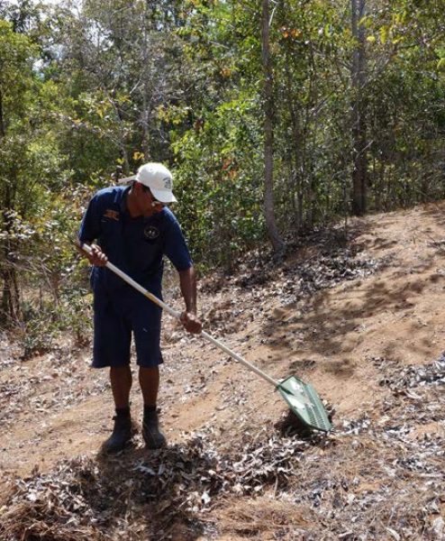 Sites may need to be cleared of some vegetation prior to GPR survey (Source: C. Jennings).